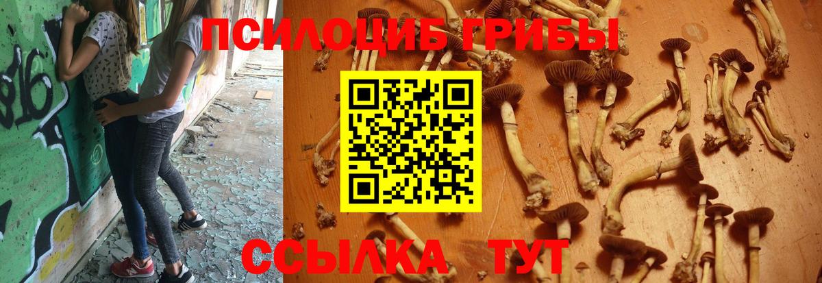 Нижневартовск  Галлюциногенные грибы GOLDEN TEACHER  Вход с VPN 